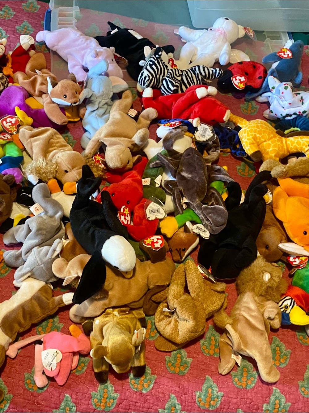 Ty Beanie Babies Plush Animal Lot - Multi Color
